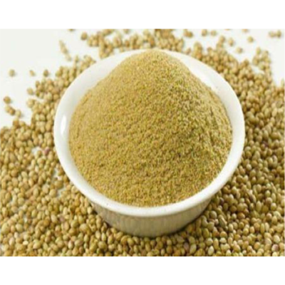 Coriander Powder - 250g